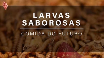 A comida do futuro: larvas