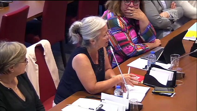 Révision de la loi relative à la bioéthique : Table ronde des obédiences maçonniques ; Audition commune sur le thème « Santé et environnement » - Jeudi 27 septembre 2018
