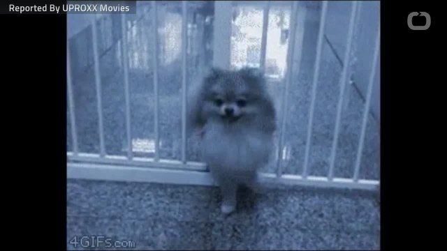 Arnold Schwarzenegger Posted A Selfie With Linda Hamilton On ‘Terminator 6’ Set