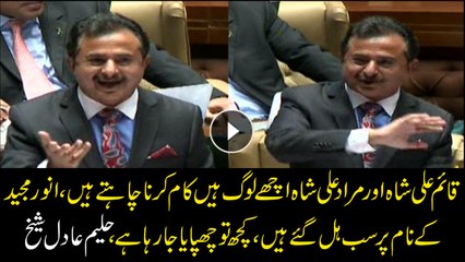 Haleem Adil Sheikh raises suspicion over the Anwar Majeed case