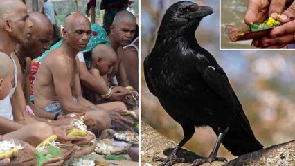 ಪಿತೃ ಪಕ್ಷ ಅಥವಾ ಶ್ರಾದ್ಧ ಯಾಕೆ ಮಾಡಬೇಕು? ಎಂದು ಮಾಡಬೇಕು?  | Oneindia Kannada