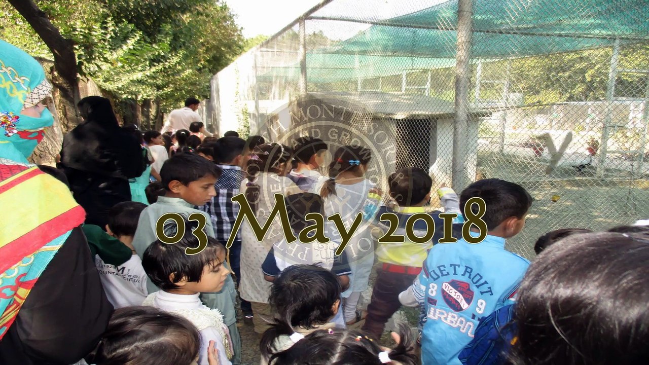 Zoo Day Activity PGMS 2018