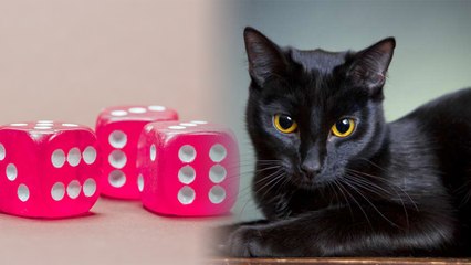 Unlucky Numbers: इन अंकों को दुनिया में माना जाता है सबसे अशुभ | Boldsky