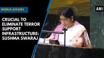 Crucial to eliminate terror support infrastructure, Sushma Swaraj tells BRICS foreign ministers