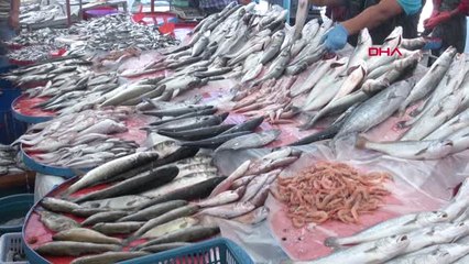 Denizli Taze Balık İçin Fıskiyeli Çözüm