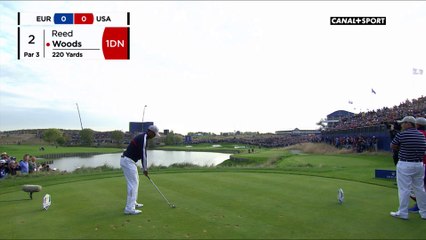 Le tigre fait ses griffes