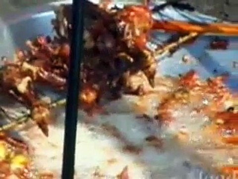 Anthony Bourdain A Cooks Tour - S01E03 - Cobra Heart, Food That Makes You Manly