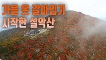 [자막뉴스] 완연한 가을…설악산 첫 단풍 시작