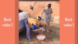Best and New  funny videos 2018 Compitation