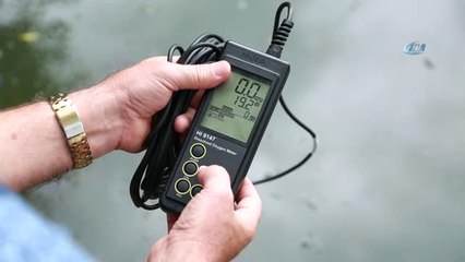 Başkent'te Balıklandırma Projeleri Devam Ediyor