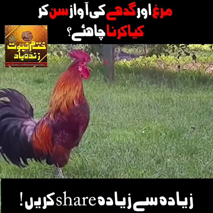 good information hd video