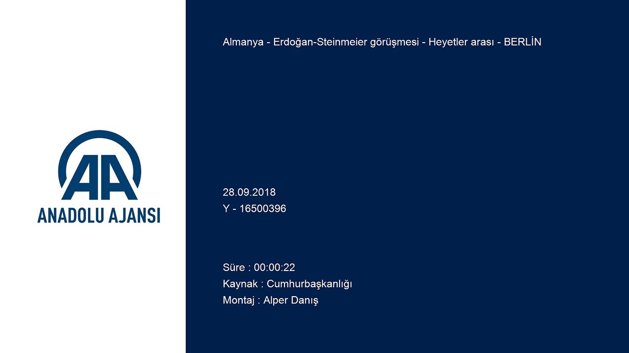 Erdoğan-Steinmeier görüşmesi - Heyetler arası - BERLİN