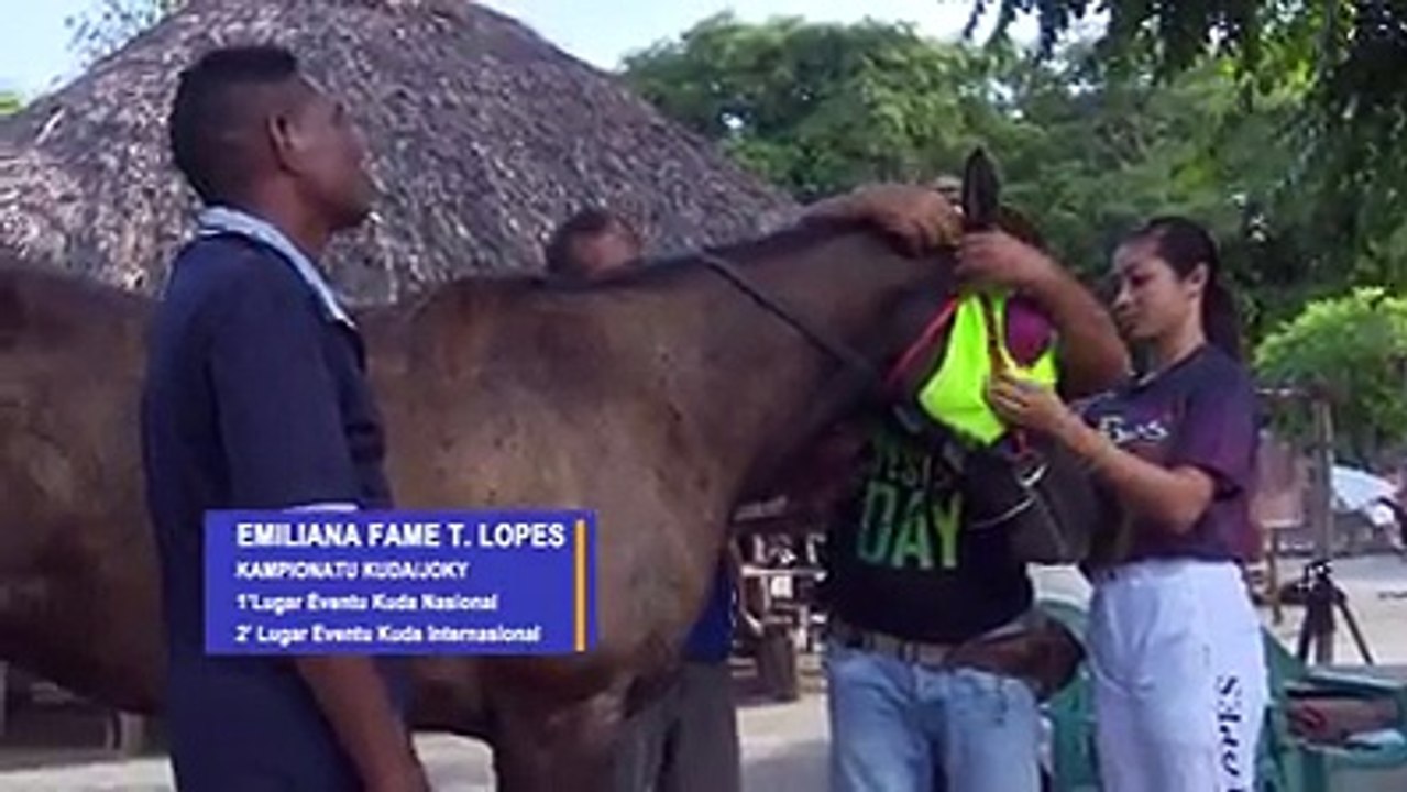 Here's another video from CNE Timor-Leste featuring Timorese athletes Jose Fonseca, Liliana da Costa, Emiliana Lopes, and Sandro Fame. Don't forget to vote on M