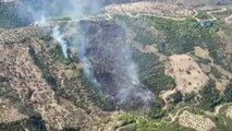 Yenipazar'da 3 Gün Arayla Aynı Bölgede 2. Yangın... Yangın Havadan Görüntülendi