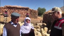 Çalınan Koyunları Jandarma Buldu