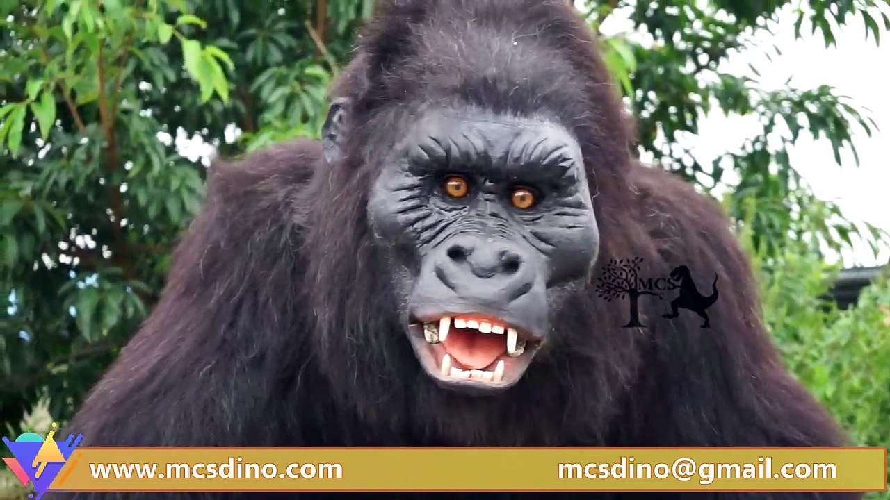 MAG004- Animatronic Gorilla