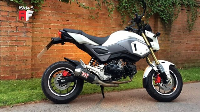 HONDA MSX 125 GROM - Cairia bem no Brasil
