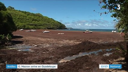 Antilles : Emmanuel Macron est arrivé en Guadeloupe