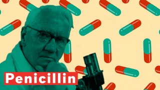 How Penicillin Changed The World