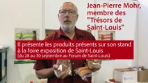 Les trésors gustatifs à découvrir à la foire de Saint-Louis