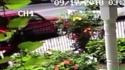 Video Shows Group Grabbing Man's Toddler Before Shooting Him