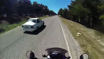 Un motard aide une tortue à traverser la route