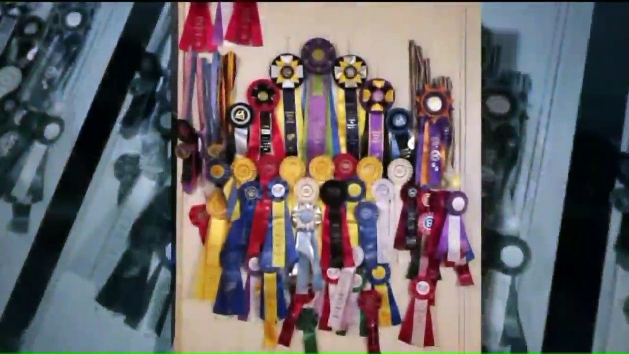 Four-Week-Old Puppies Stolen from Breeder