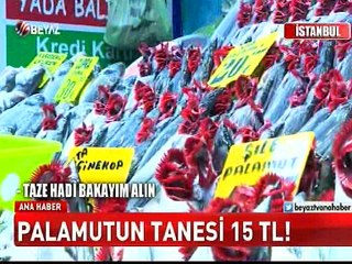 Tezgahlarda palamut bolluğu