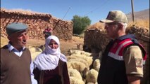 Çalınan koyunları jandarma buldu - VAN