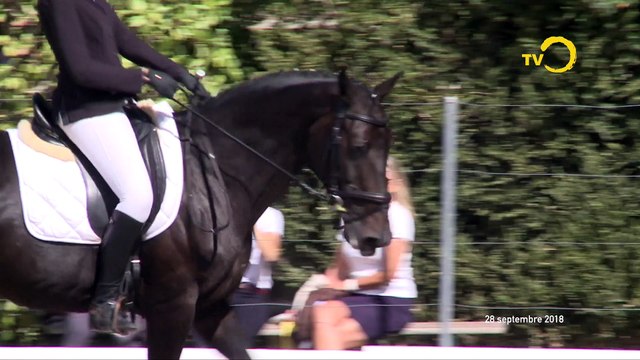 Sans commentaire: concours hippique à Onex