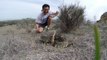 Un serpent à sonnettes mord sa GoPro... Impressionnant