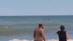 Killer Whales (Orcas) surprise a man while swimming in Monte Hermoso Beach, Argentina.