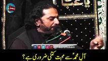 Aale Muhammad a.s Se Muhabbat | Allama Nasir Ababs Multan