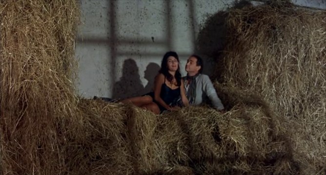 A Spasso Nel Bosco Film Completo Italiano