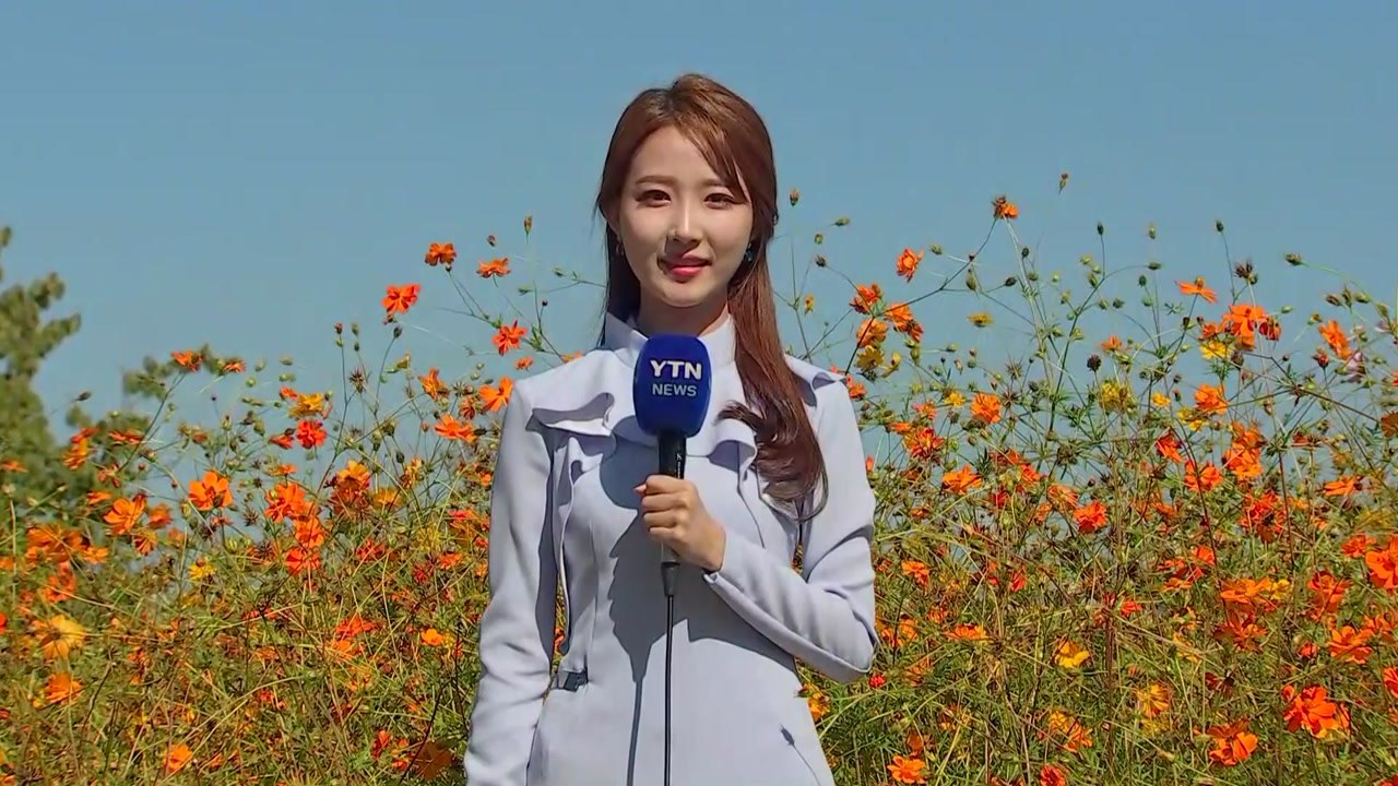 [날씨] 내륙 맑고 큰 일교차...남해안·제주 태풍 영향 강풍 / YTN