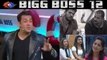 Bigg Boss 12: Roshmi Banik, Kriti Verma & THIS contestant will be ELIMINATED | FilmiBeat