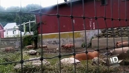 Scorned Love Kills S03 E05