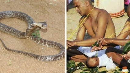 ಪಿತೃ ಪಕ್ಷದ ಸಮಯದಲ್ಲಿ ಇಂತಹ ತಪ್ಪುಗಳನ್ನ ಮಾಡಿದ್ರೆ ಪಿತೃ ದೋಷ ಖಂಡಿತ | Oneindia Kannada