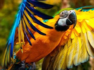 Inca Trail To Machu Picchu