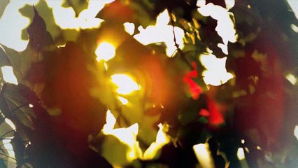 A vendre - Appartement - Riaz (1632) - 3.5 pièces - 107m²