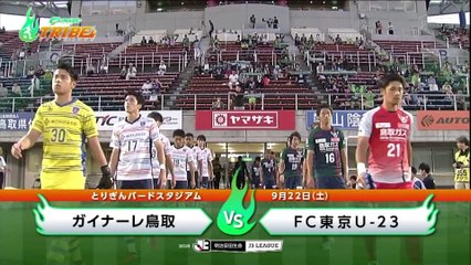 ガイナーレＴＲＩＢＥ