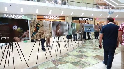 Ankara'nın Parklarında Gizlenen Özel Misafirler" Sergisi Görücüye Çıktı