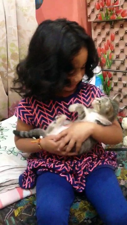 Cutty playing with catty