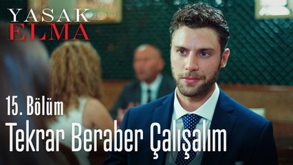 Tekrar beraber çalışalım - Yasak Elma 15. Bölüm