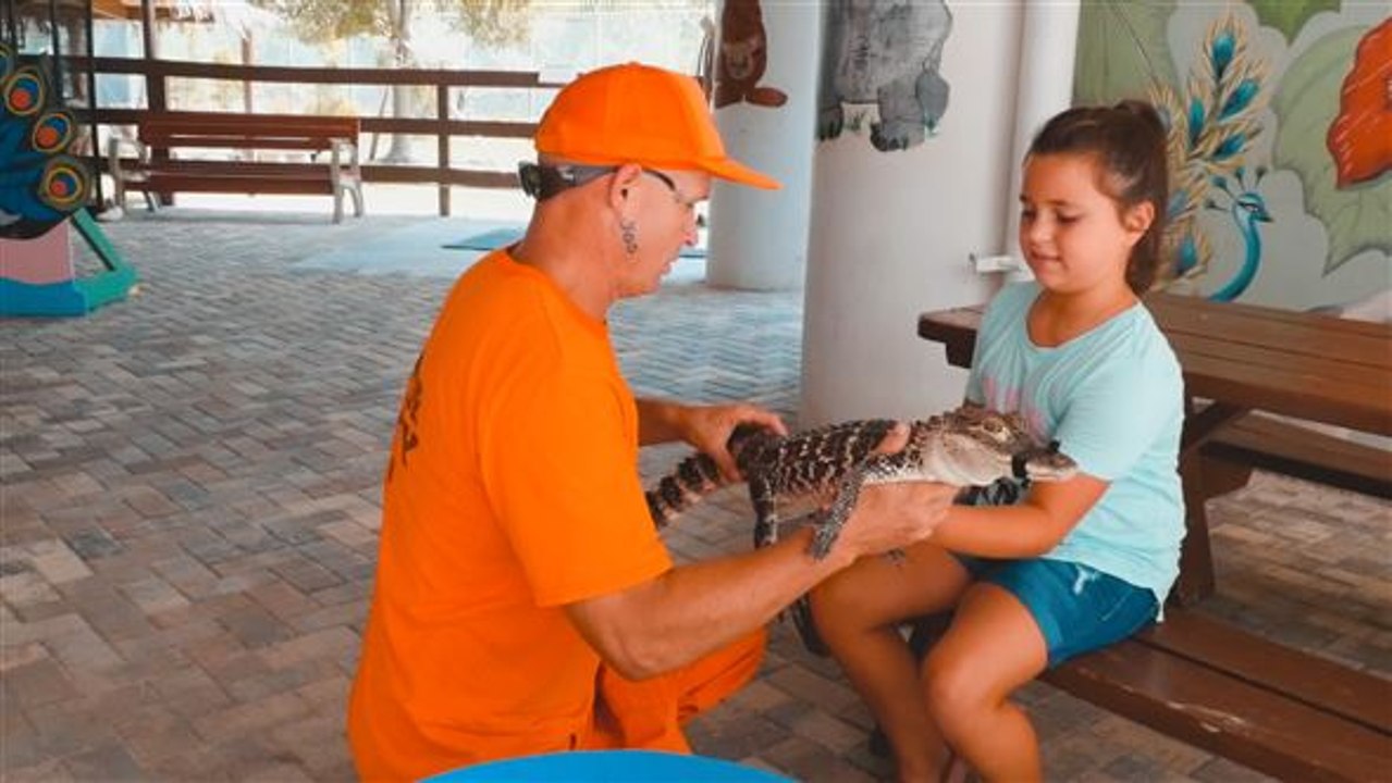 Tiertherapie für gefangene