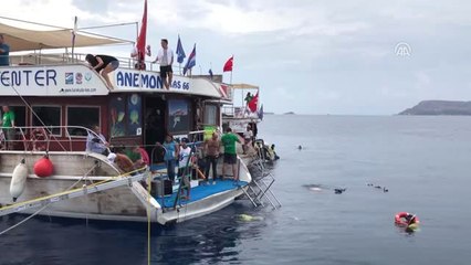 Milli Dalgıç Derya Can'dan Yeni Rekor