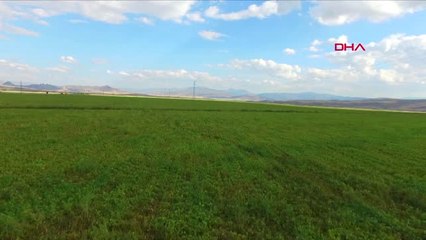 Erzincan Bin Dönümlük Arazide 3 Ortaklı Sebze ve Meyve Üretimi