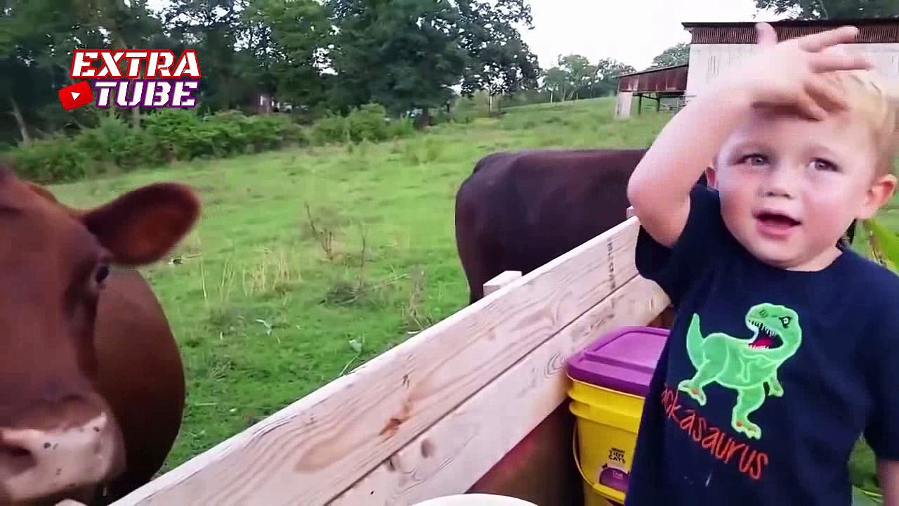 Funny Animals Trolling Babies and Kids -  Funny Babies and Pets