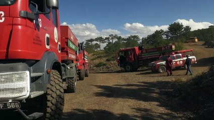 Banaz'daki orman yangınları - UŞAK