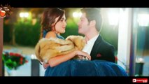 Pyaar Lafzon Mein Kahan Episode 76 Hayat And Murat Kiss Scene.